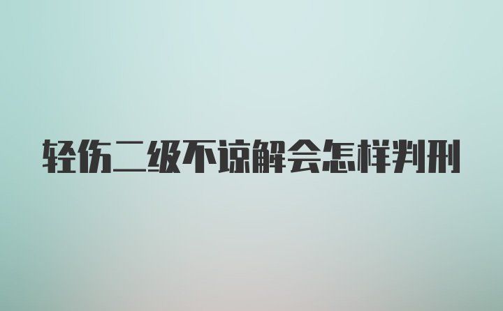 轻伤二级不谅解会怎样判刑