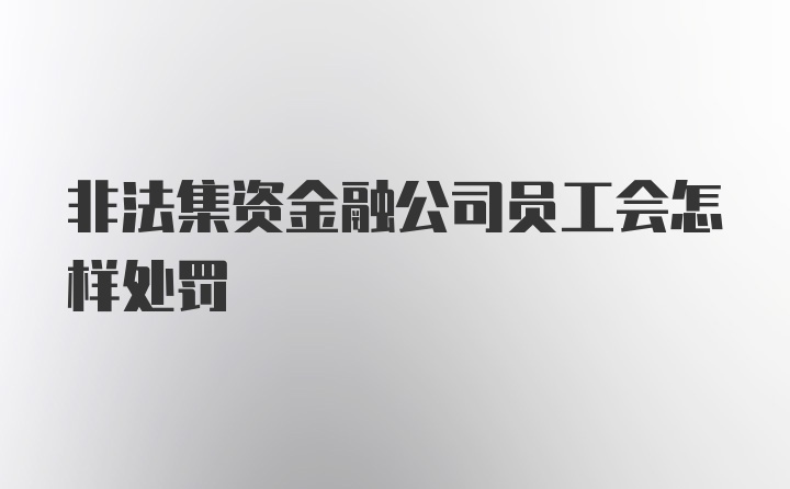 非法集资金融公司员工会怎样处罚