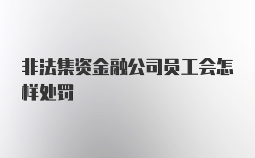 非法集资金融公司员工会怎样处罚