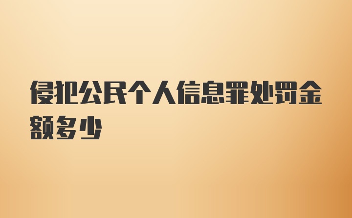 侵犯公民个人信息罪处罚金额多少