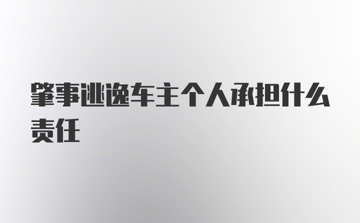 肇事逃逸车主个人承担什么责任