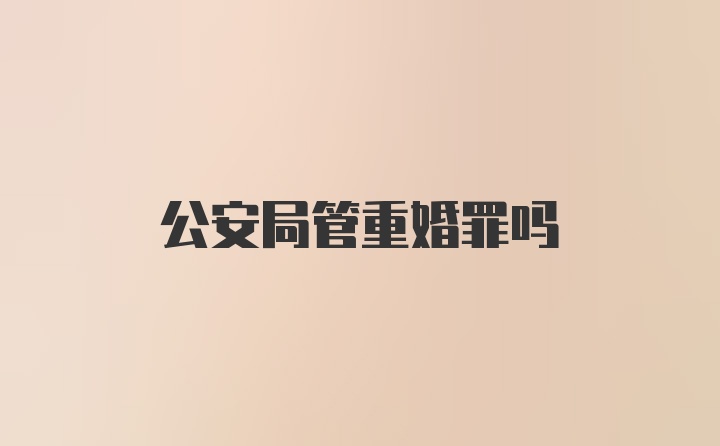 公安局管重婚罪吗