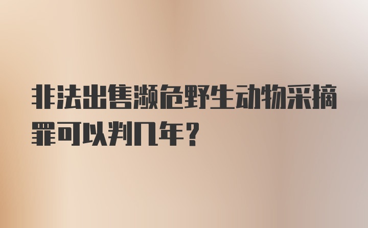 非法出售濒危野生动物采摘罪可以判几年？