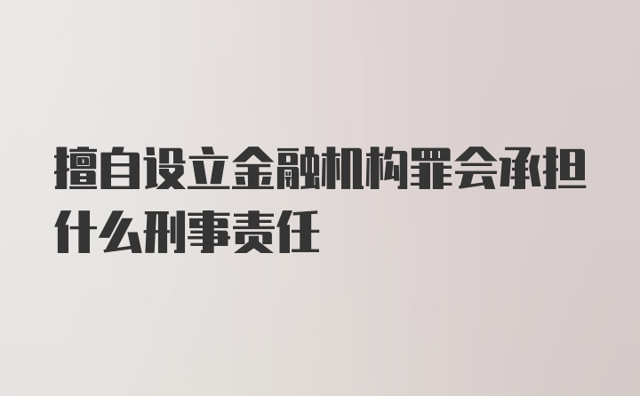 擅自设立金融机构罪会承担什么刑事责任