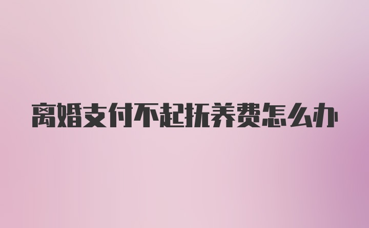 离婚支付不起抚养费怎么办