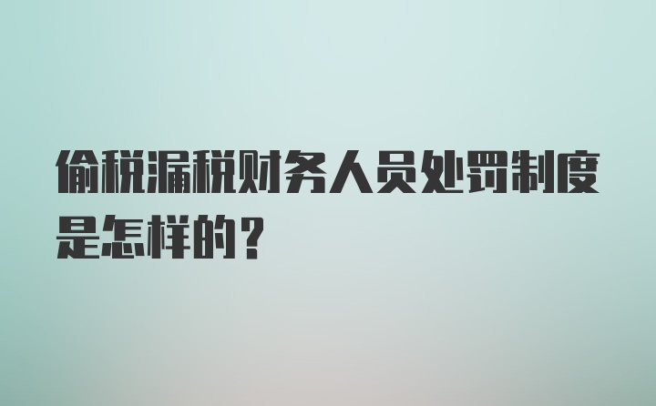 偷税漏税财务人员处罚制度是怎样的？