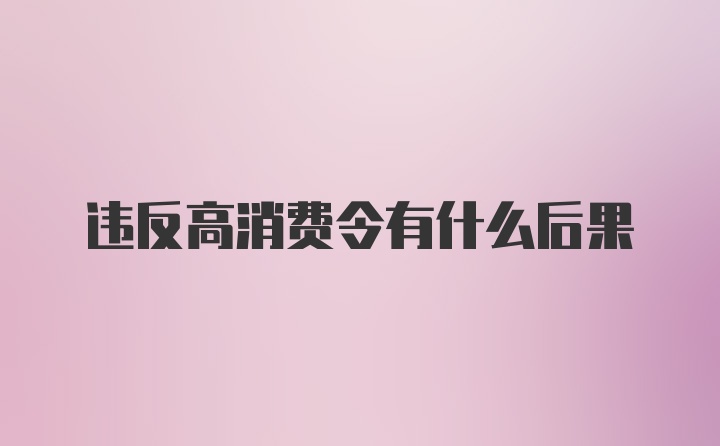 违反高消费令有什么后果