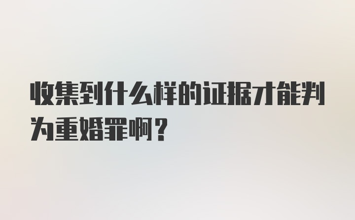 收集到什么样的证据才能判为重婚罪啊?