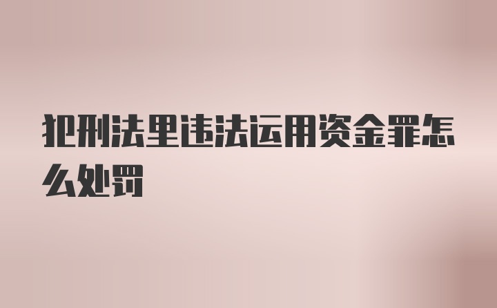 犯刑法里违法运用资金罪怎么处罚