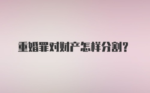 重婚罪对财产怎样分割？