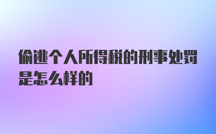 偷逃个人所得税的刑事处罚是怎么样的