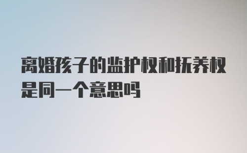 离婚孩子的监护权和抚养权是同一个意思吗