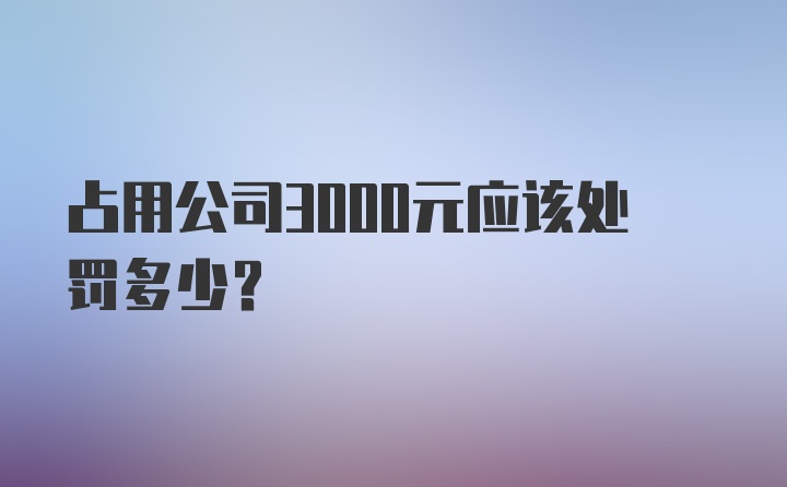 占用公司3000元应该处罚多少？