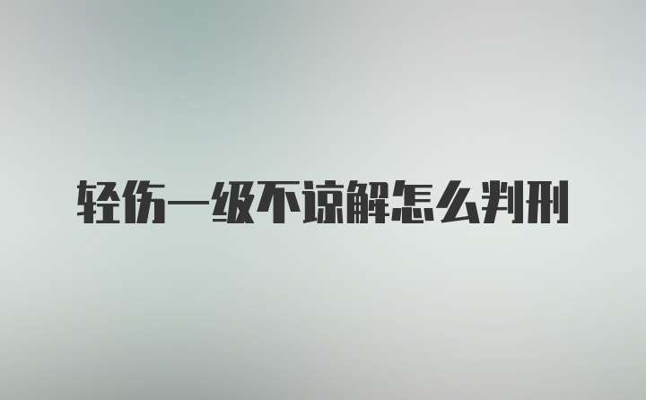 轻伤一级不谅解怎么判刑