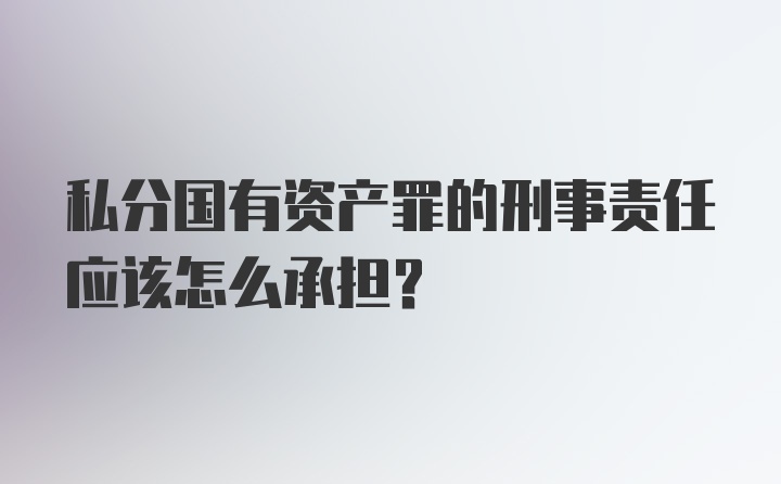 私分国有资产罪的刑事责任应该怎么承担？