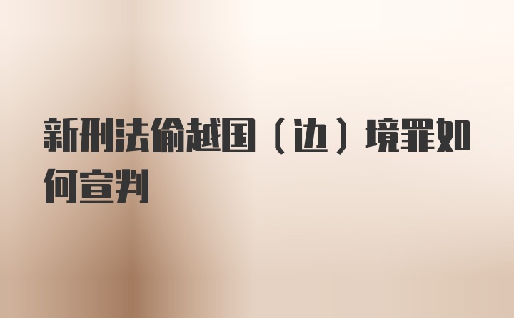 新刑法偷越国（边）境罪如何宣判