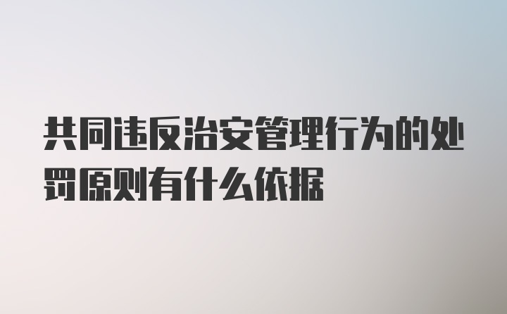 共同违反治安管理行为的处罚原则有什么依据