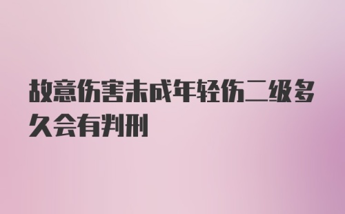 故意伤害未成年轻伤二级多久会有判刑