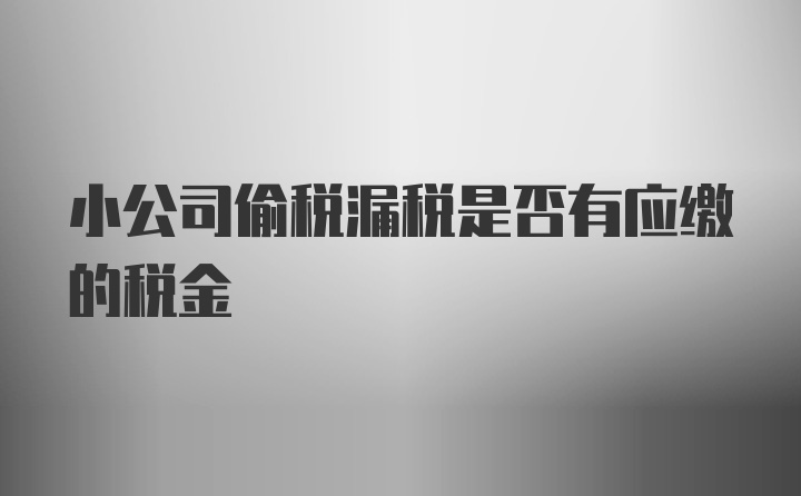 小公司偷税漏税是否有应缴的税金