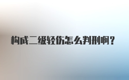 构成二级轻伤怎么判刑啊？