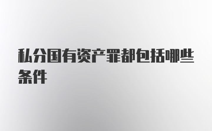 私分国有资产罪都包括哪些条件