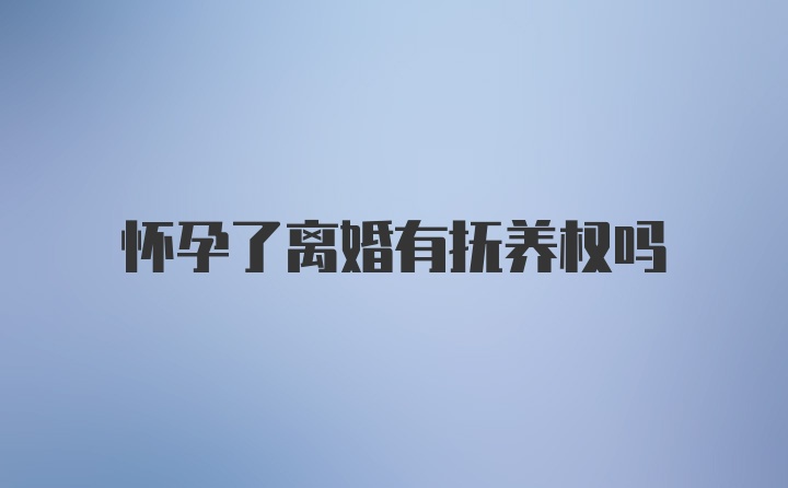 怀孕了离婚有抚养权吗