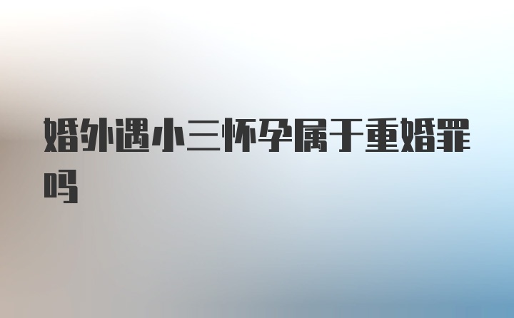 婚外遇小三怀孕属于重婚罪吗