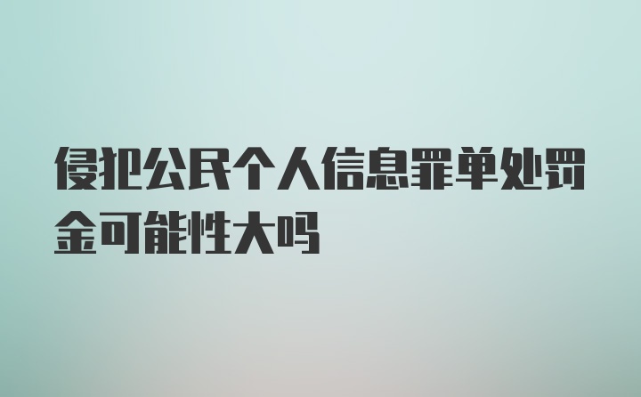 侵犯公民个人信息罪单处罚金可能性大吗