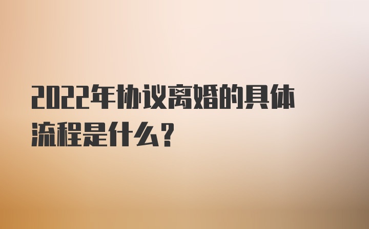 2022年协议离婚的具体流程是什么?