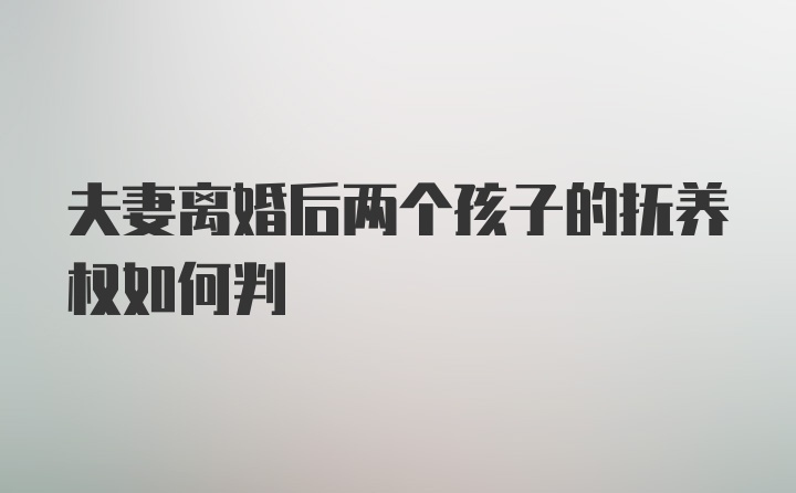 夫妻离婚后两个孩子的抚养权如何判