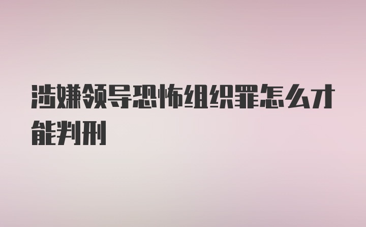 涉嫌领导恐怖组织罪怎么才能判刑