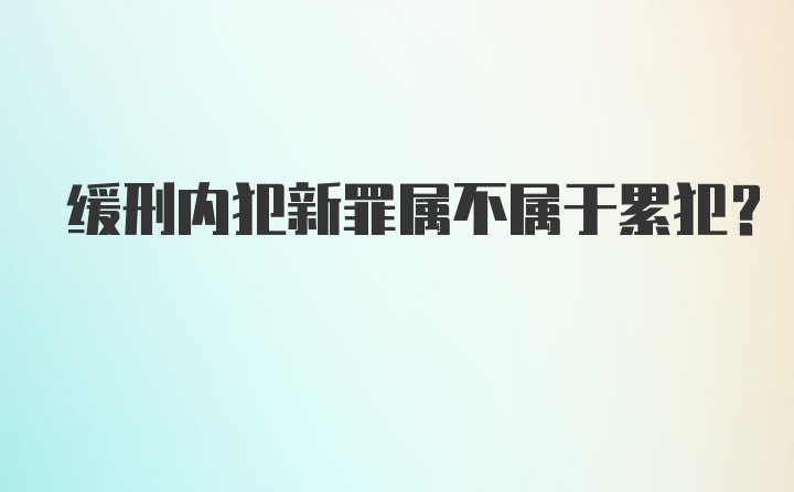 缓刑内犯新罪属不属于累犯?