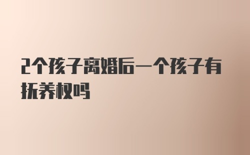 2个孩子离婚后一个孩子有抚养权吗