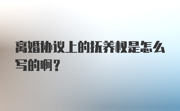 离婚协议上的抚养权是怎么写的啊？