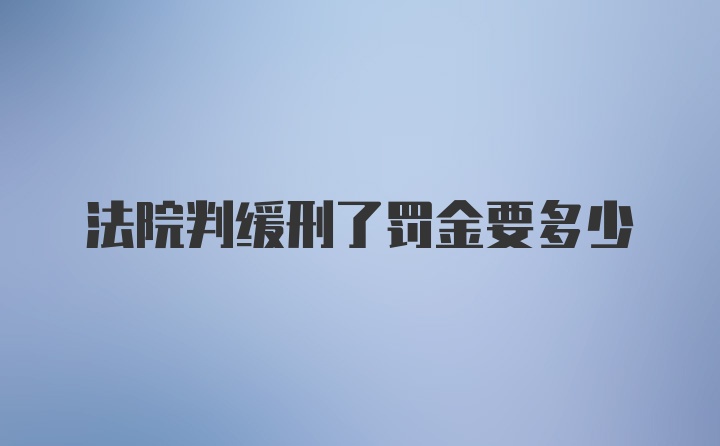 法院判缓刑了罚金要多少