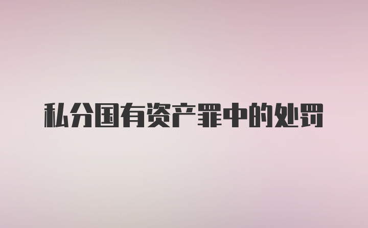 私分国有资产罪中的处罚