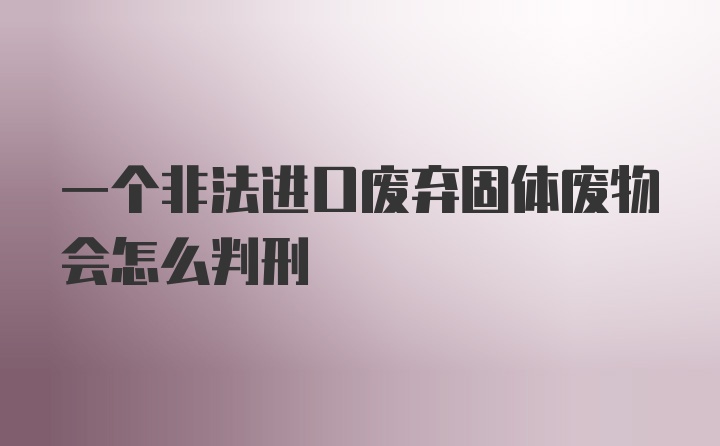 一个非法进口废弃固体废物会怎么判刑