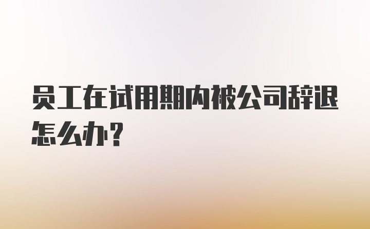 员工在试用期内被公司辞退怎么办?