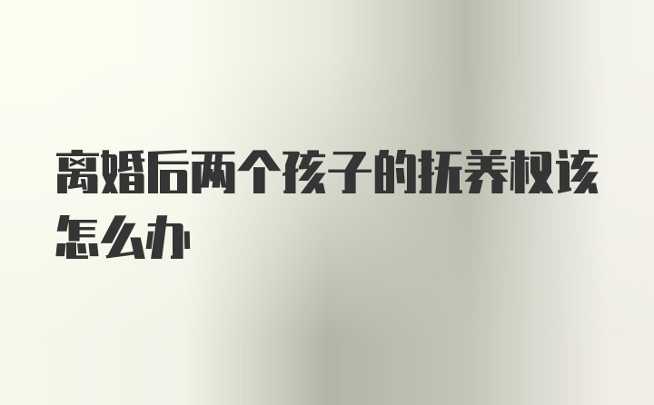 离婚后两个孩子的抚养权该怎么办