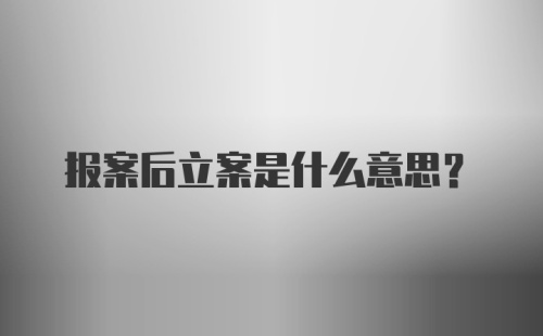 报案后立案是什么意思？