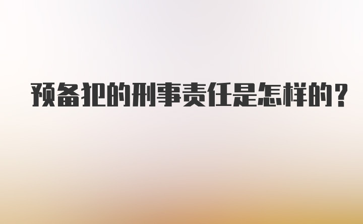 预备犯的刑事责任是怎样的？