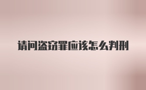 请问盗窃罪应该怎么判刑