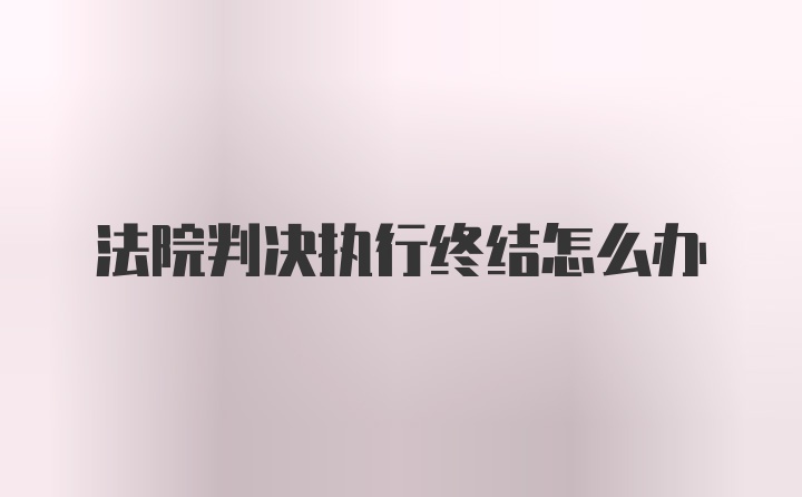 法院判决执行终结怎么办