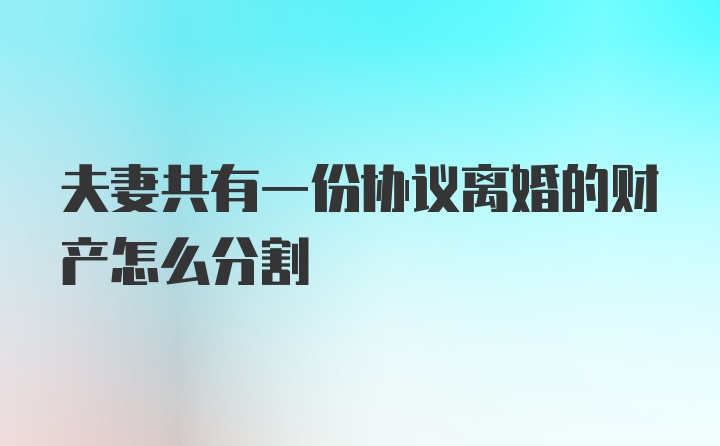 夫妻共有一份协议离婚的财产怎么分割