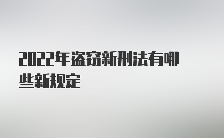 2022年盗窃新刑法有哪些新规定