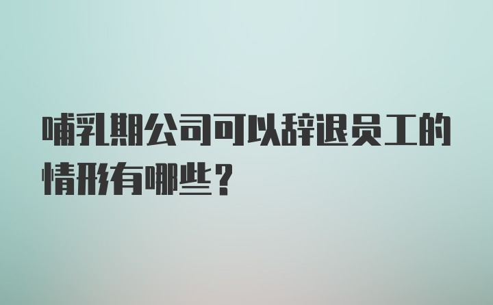 哺乳期公司可以辞退员工的情形有哪些？