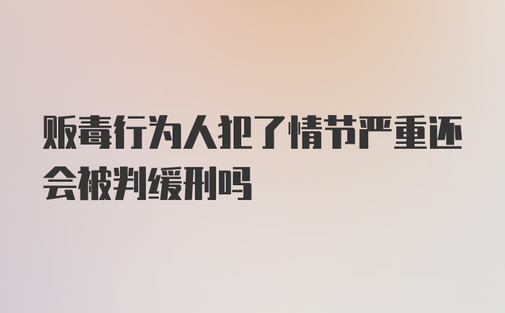 贩毒行为人犯了情节严重还会被判缓刑吗