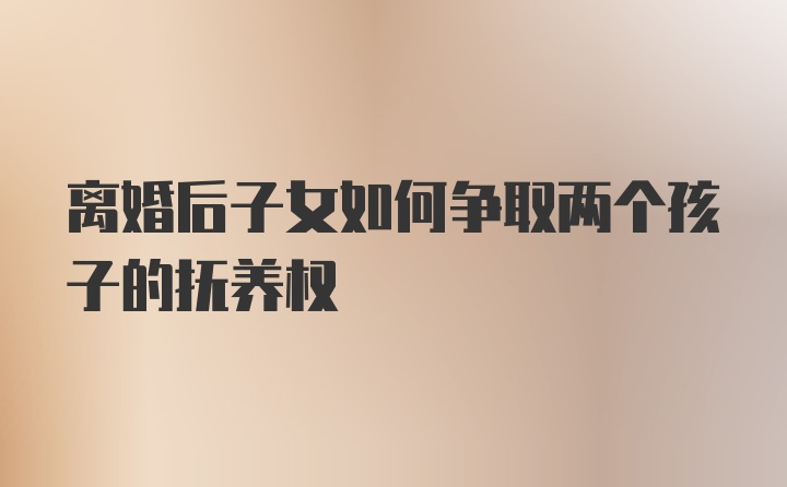 离婚后子女如何争取两个孩子的抚养权