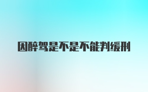 因醉驾是不是不能判缓刑