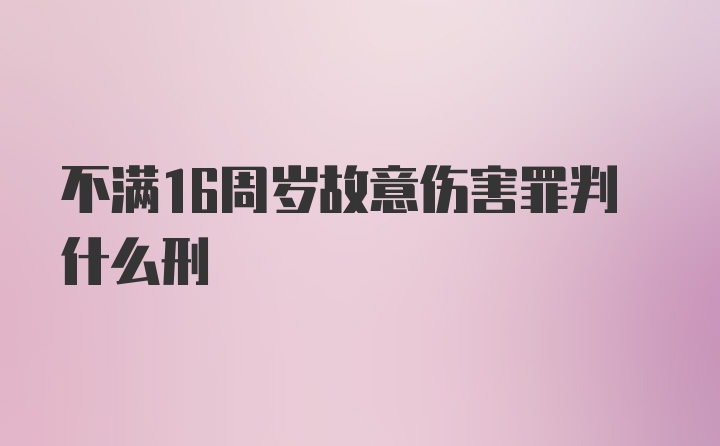 不满16周岁故意伤害罪判什么刑